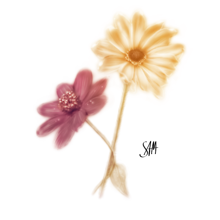 Two Flowers illustration.
